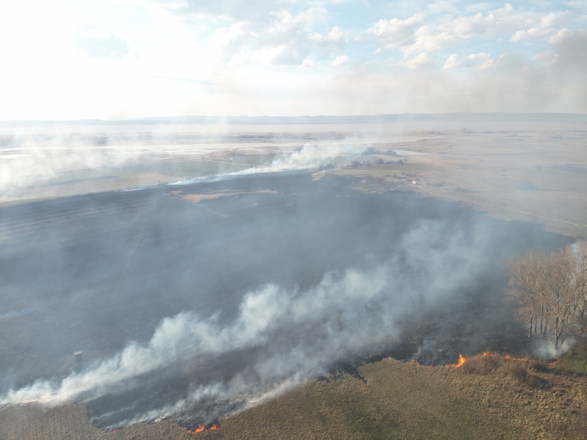 Unterstützung bei großem Schilf- und Flurbrand in Illmitz